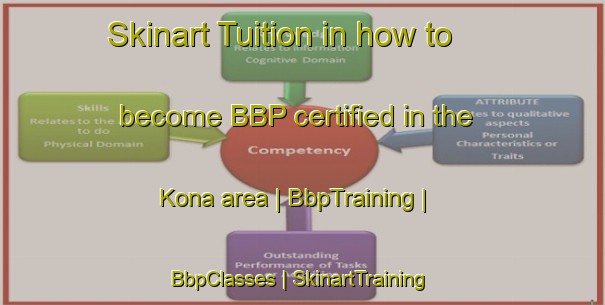 Skinart Tuition in how to become BBP certified in the Kona area | BbpTraining | BbpClasses | SkinartTraining-Niger
